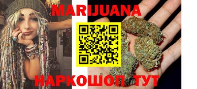тгк Гай