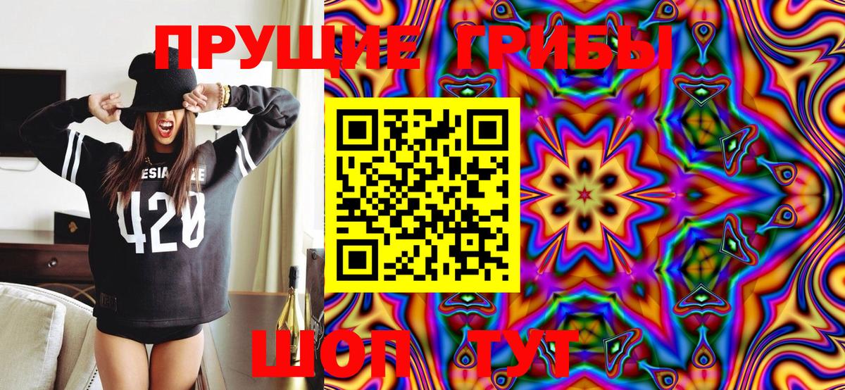 Гагарин  Псилоцибиновые грибы GOLDEN TEACHER  Псилоцибиновые грибы Psilocybine cubensis  Вход с VPN 